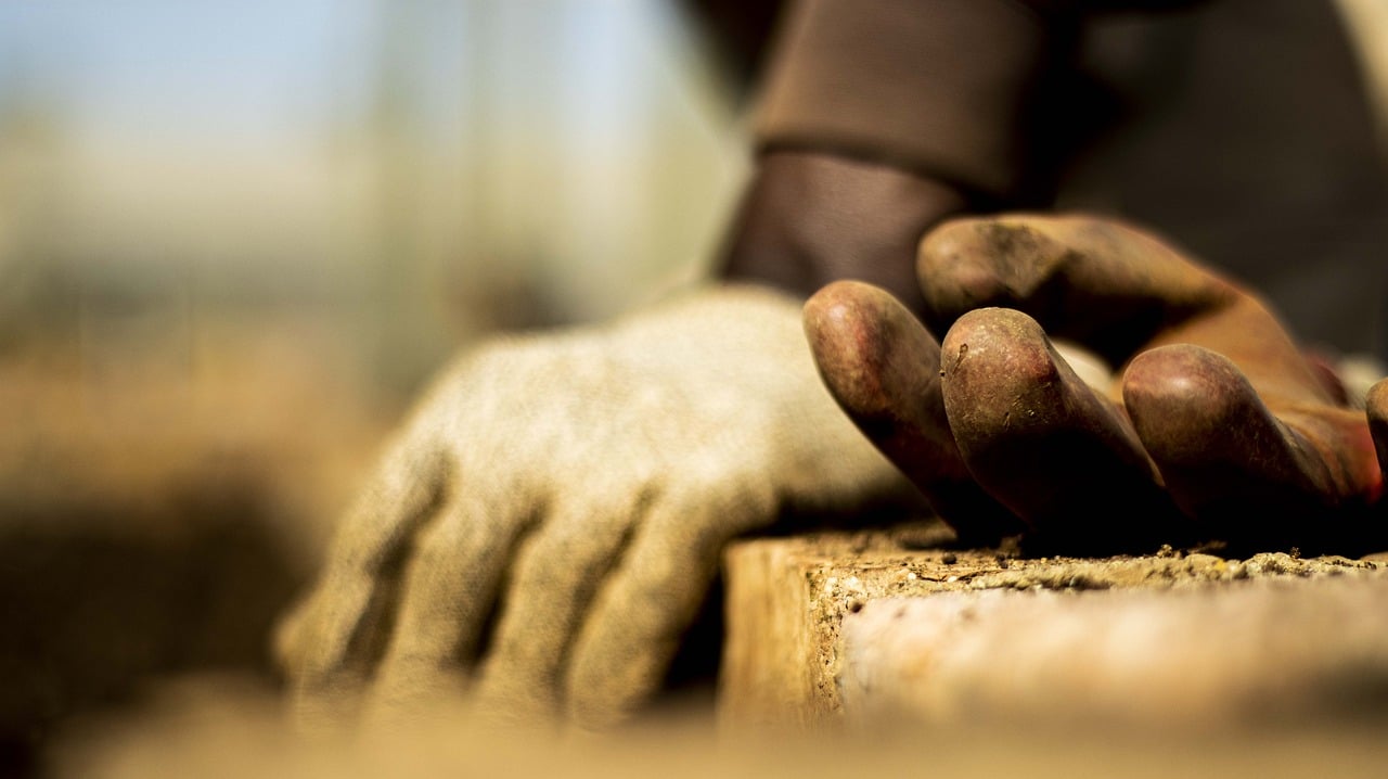 The Benefits of Organic vs. Conventional Gardening